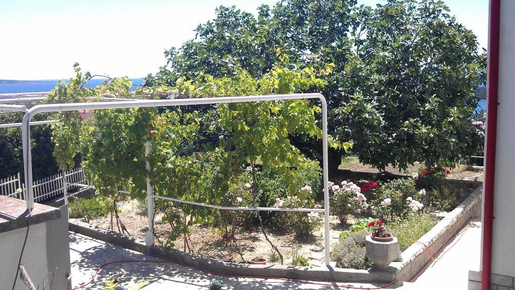 Panoramic View Studio Palit Dış mekan fotoğraf